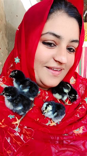 🍁Zoya Village🍁 (@zoyavillage)’s videos with original sound - ...M...A...S...U...M