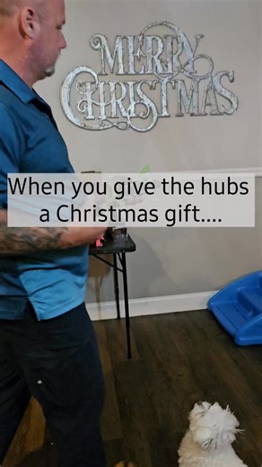 This dang lizard walks on walls, ceilings and floors! Hours of aggravation for the fluffies 藍藍藍 #remotecontroltoy #ibedang | IbeDang | Facebook