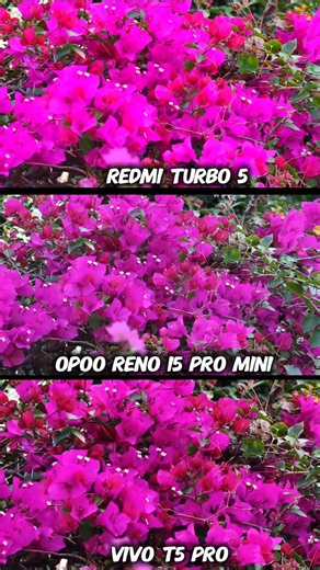 The Best Budget Phone Redmi Turbo 5 Vs Oppo Reno 15 Pro Mini Vs Vivo T5 Pro Photography Test Review