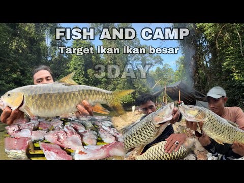 EKSPLORASI HUTAN RIMBA 3H2M: Casting Hampala Besar & Ikan Semah Liar!