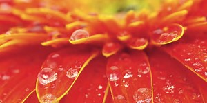 Sexologische Körperarbeit | Bodywork Center