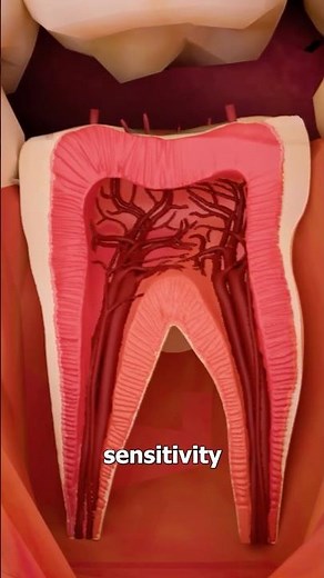 Why Grinding Your Teeth Is Bad 😱 Surgeon Reacts