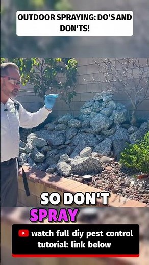DIY Pest Control Mistakes 🚫 Do THIS Instead (Outdoor Pro Tips) #diypestcontrol #pestcontroltips