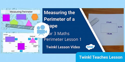 Year 3 (Ages 7-8) Perimeter: Video Lesson 1