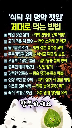 "고기 구울 때 깻잎 안 드시면 손해입니다!" 의사들도 장바구니에 꼭 담는 '천연 치매 예방약' 10가지