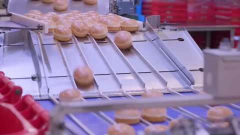 Inside the Olive Oil Factory: How Premium Olive Oil Becomes Liquid Gold