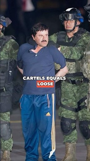 Mafia vs Cartels: 5 Brutal Differences You Didn’t Know #trending #mafia #viral #gangster #history