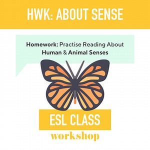 ESL Beginners Homework: Practise the Expressing the Senses in English