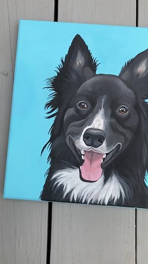 Border Collie Drawing Challenge | Final Product Revealed