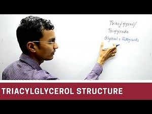 Structure of Triacylglycerol | Triglyceride