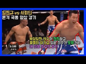 명경기 리뷰 임현규 vs 타릭 사피딘 내 인생 다시는 볼 수 없는 영원한 최고의 UFC 명경기 전세계 격투기 팬들을 울린 함성 이기고 있는 선수가 겁먹고 도망가는 신기한 현상