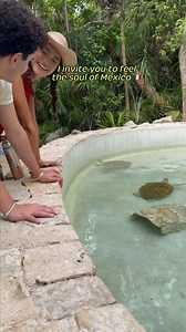 Experience everything shown in this video with us. 🇲🇽✨ You don’t have to choose between culture, adventure, or relaxation, because at Xcaret, you can enjoy all three in one unforgettable experience. | Xcaret Park