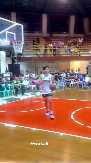 Andy Gemao Basketball Highlights and Dunk Compilation