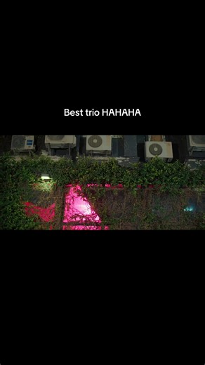 Best trio funny BL moments: Part 7 — perfect 10 liners