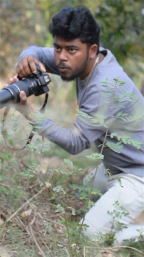 How to Photograph Birds & Wildlife (Tips & Techniques)