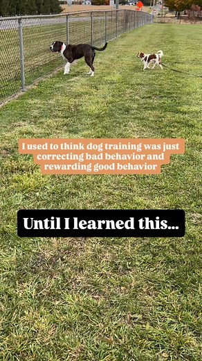 When I first learned to train dogs, it was as simple as correcting what you don’t like, and rewarding behavior you want more of. Then I learned the power of✨changing context✨ Much like humans, our dogs get really comfortable in their habits. For instance, when I moved into a new house a few years ago, it was around the Fourth of July. Isa is terrified of fireworks. She built an association between nighttime and big booms in the sky, and she would NOT be convinced out of it. She would bark. Every