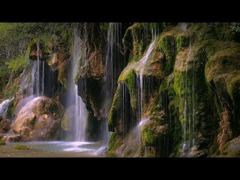Zen Relaxing Piano Music | Water Leak & Birds