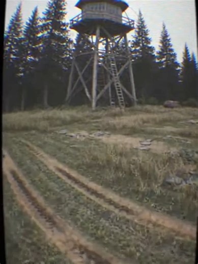 📼 Case File 754: Base Clearing Nothing burned here. Something waited. #fyp #creepy #abandoned #forest #haunted