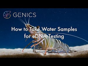 How to take water samples for eDNA testing