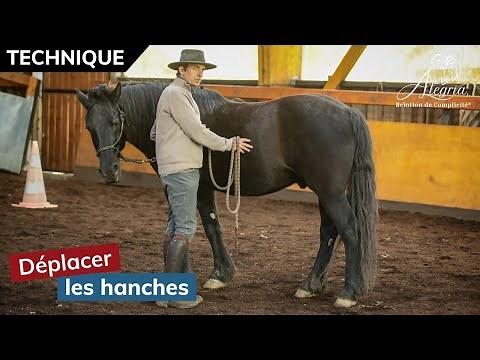 [ EDUQUER SON CHEVAL 👀 ] Déplacer les hanches et reprendre le contrôle d'un cheval qui se cabre