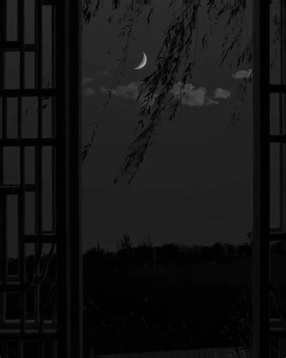 Lirik Lagu 'Lily' oleh Alan Walker