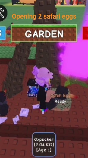 opening 2 safari eggs #roblox #growagarden