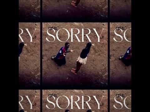 OML - Sorry ( Audio )