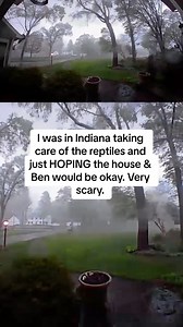 Reptile room update- so due to tornadoes in Portage, MI, the electric work was postponed. Honestly, ben being stuck at a walmart and me not being in kalamazoo to watch over the house was so frightening. We both just had to wait and hope the house would be okay. Thankfully, it was. I saw some of the damage on my way back into kalamazoo last week. Truly jarring. Clips from CNN & the weather channel. #tornado #reptileroom #homerenovation #storm #reptile #pets #petroom | Jessica's Animal Friends