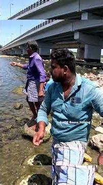 Fast Mullet Fish Catch 🎣 Bottle Trap Fishing with Maida Bait #fishingtechniques #fishingmethods