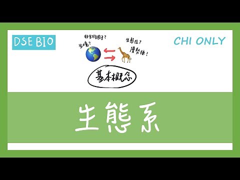 [DSE生物 - 課文重點] 18分鐘講完【生態系】！