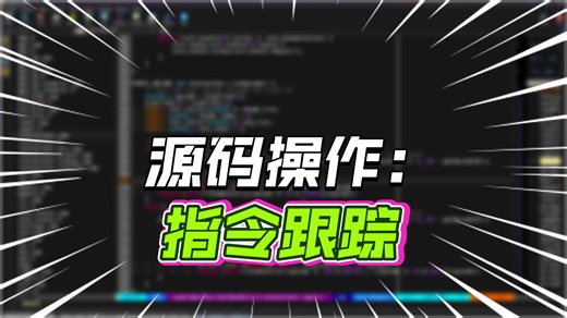 DS模拟器开发-移植开发--采集指令集