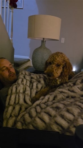 Dogs are so amazing when you're sick. Scotch knows that Daddy has a fever. This was last night so today I got the fever. Thank you Jason Baker | Danielle Baker