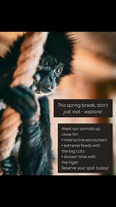 5.4K views · 13 reactions | Make lasting memories this spring break! | Texas Wildlife Park | Facebook