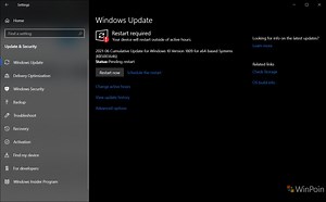 Microsoft Rilis Update KB5003646 Untuk Pengguna Windows 10 LTSC 2019