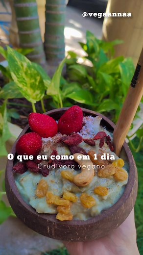 #oqueeucomoemumdia #Nutri 💚🥗 #Crudivorismo