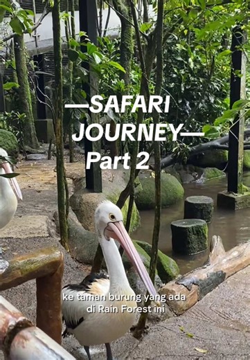 Taman Safari Journey - Part 2 Exploration