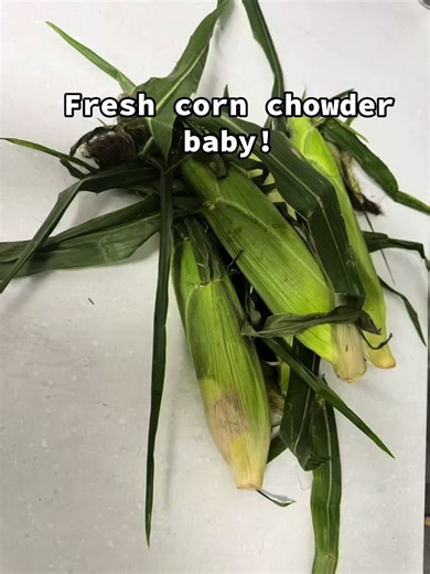 The BloomBox on TikTok