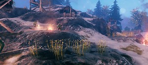 The Best Way to Get Flax in Valheim — Set Ready Game