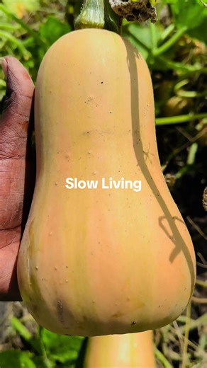 Embrace the Art of Slow Living for a Simpler Life