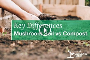 Mushroom Soil vs Compost - 6 Key Differences - Smart Garden and Home