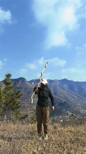 Handcrafted Walking Stick: 9 Bends & 18 Turns Bird Design