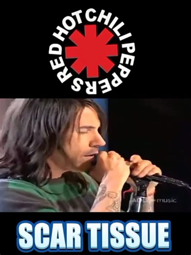 Red Hot Chili Peppers - Scar Tissue Lyrics Analysis
