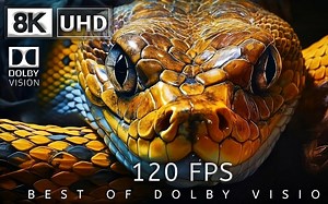 8K 视频超高清 120 最佳杜比视界 8K 120fps