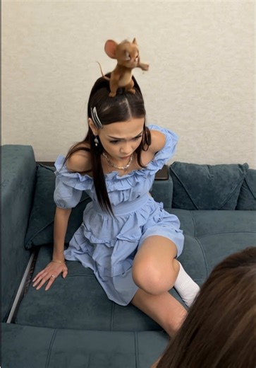 Tom & Jerry 🤣 @Gulnur | Tom And Jerry