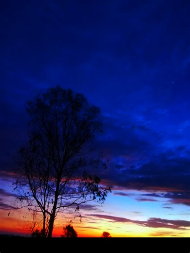 ล้มก็แค่ลุกตั๊ว#ข้อคิดดีๆ #storie #สตอรี่ #mornstories #แทรนด์วันนี้