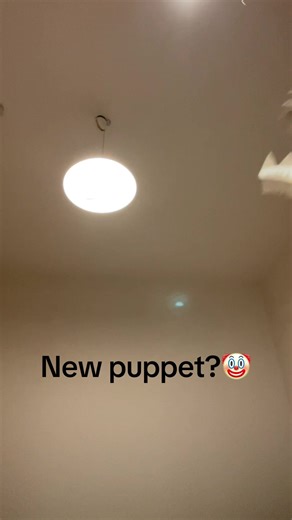 Creating a Dragon Puppet with Cardboard