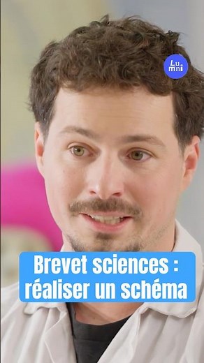Science Exam: How to draw a diagram with @Monsieurlechat94 | Lumni