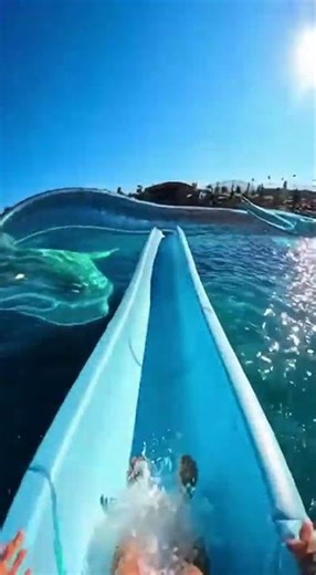 Waterslide into pool full of giant mythical sea creatures #funny #memes
