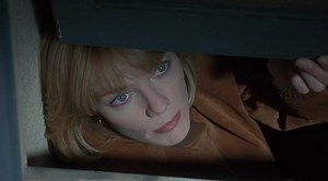 Головоломка ''Conundrum'' .1996.крим.трилер-детектив.Майкл Бин-Марг Хельгенбергер.HDRip.