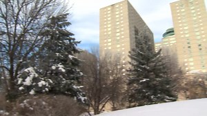 ‘It’s beautiful’: Hoar frost covers southern Manitoba